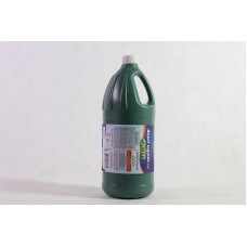 Álcool Liquido 2LTS
